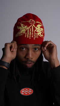 Visionaire Beanie