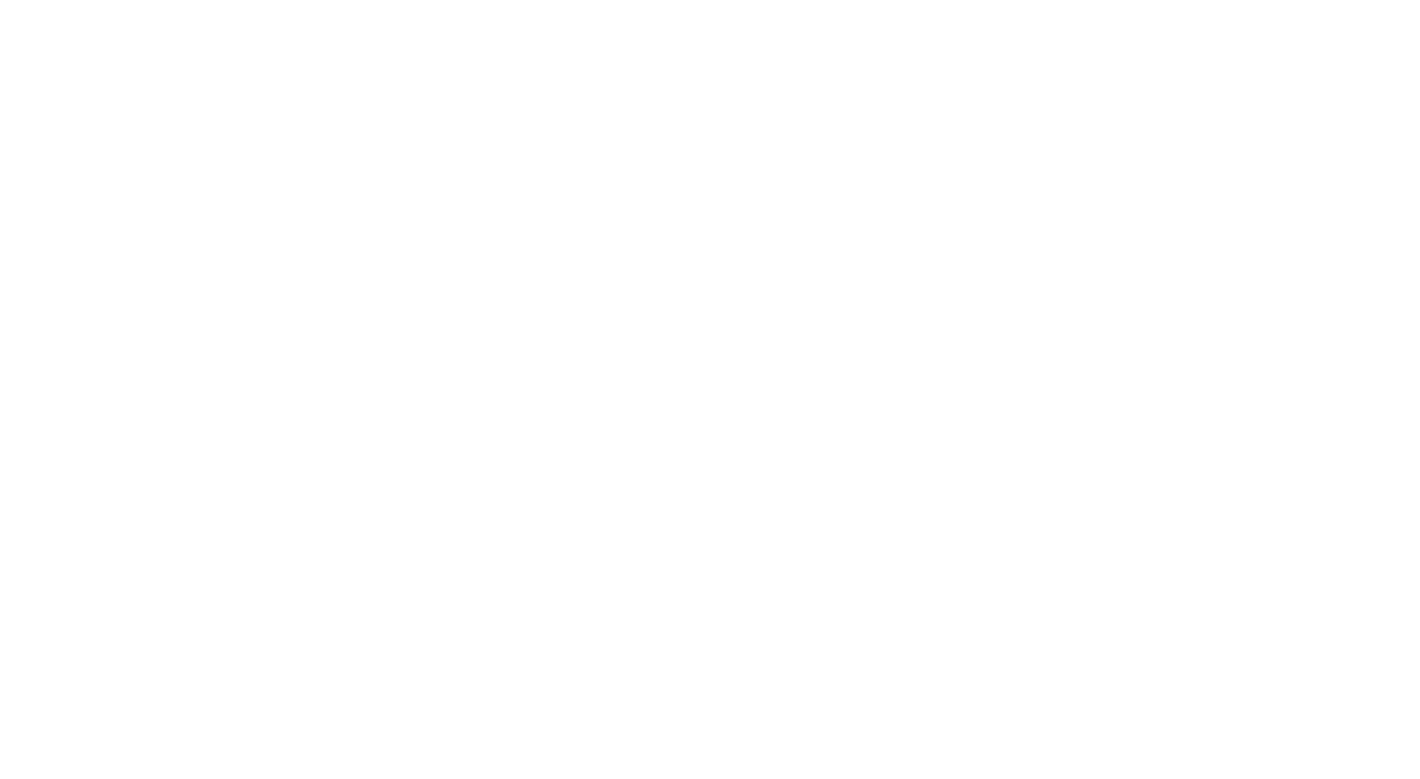 IVIZION