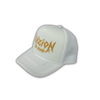 IVIZION The Brand Hat